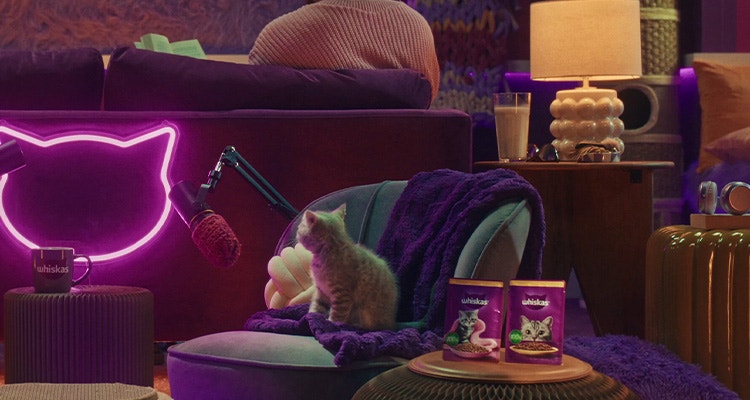 Liquide ou solide, l'eau c'est la santé assurée