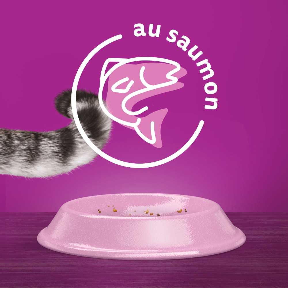 WHISKAS® Croquettes Au Saumon Pour Chat Adulte Stérilisé 1,75kg - 7