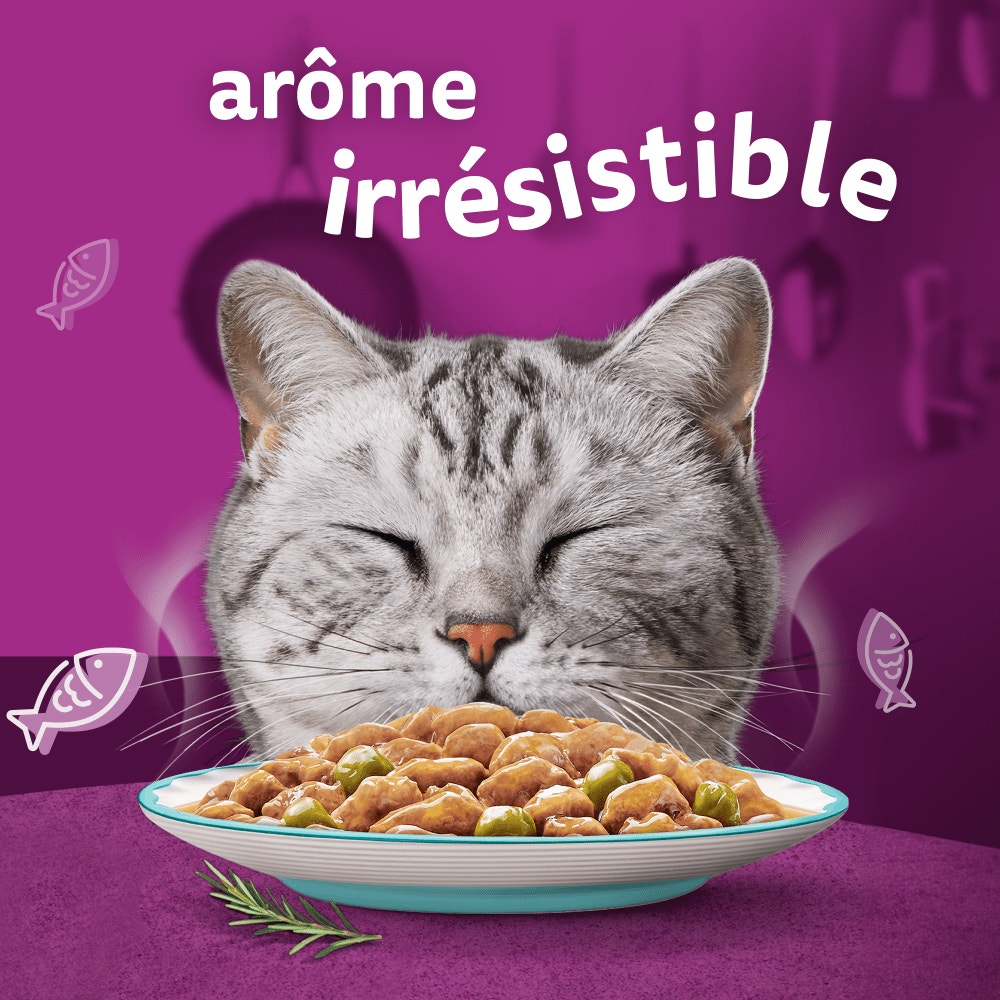 WHISKAS® Sachet Fraîcheur Les Aromatic Selection Délices de produits de la Mer Pour Chat Adulte 4 variétés 12 x 85g - 2