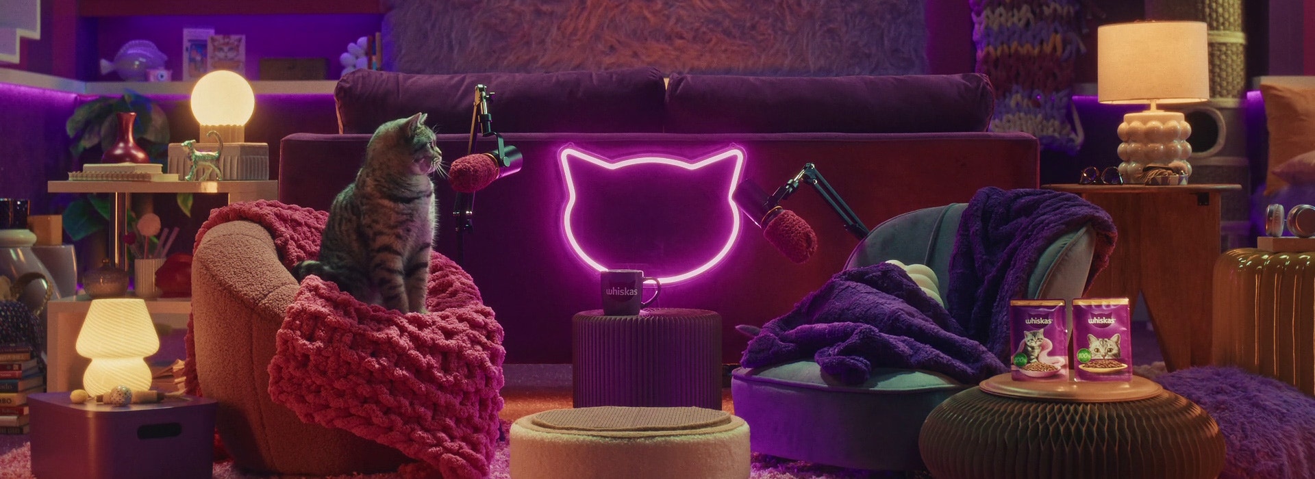 Comment présenter un nouveau chaton à son chat ?