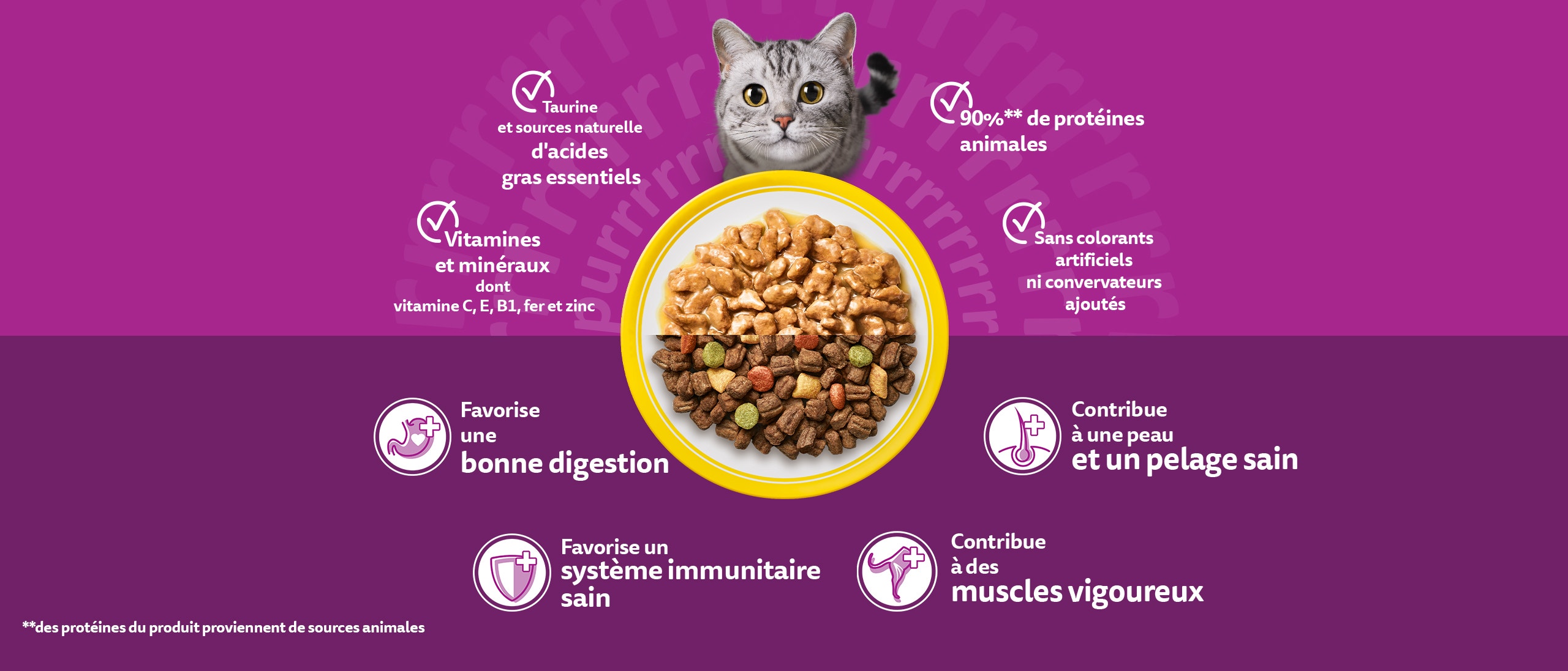 adult banner desktop