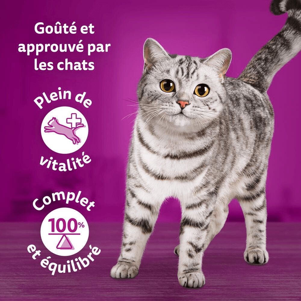 WHISKAS® Duo Sachets Fraîcheur Les Classiques En Gelée Pour Chat Adulte 4 Variétés 12 x 85g - 3