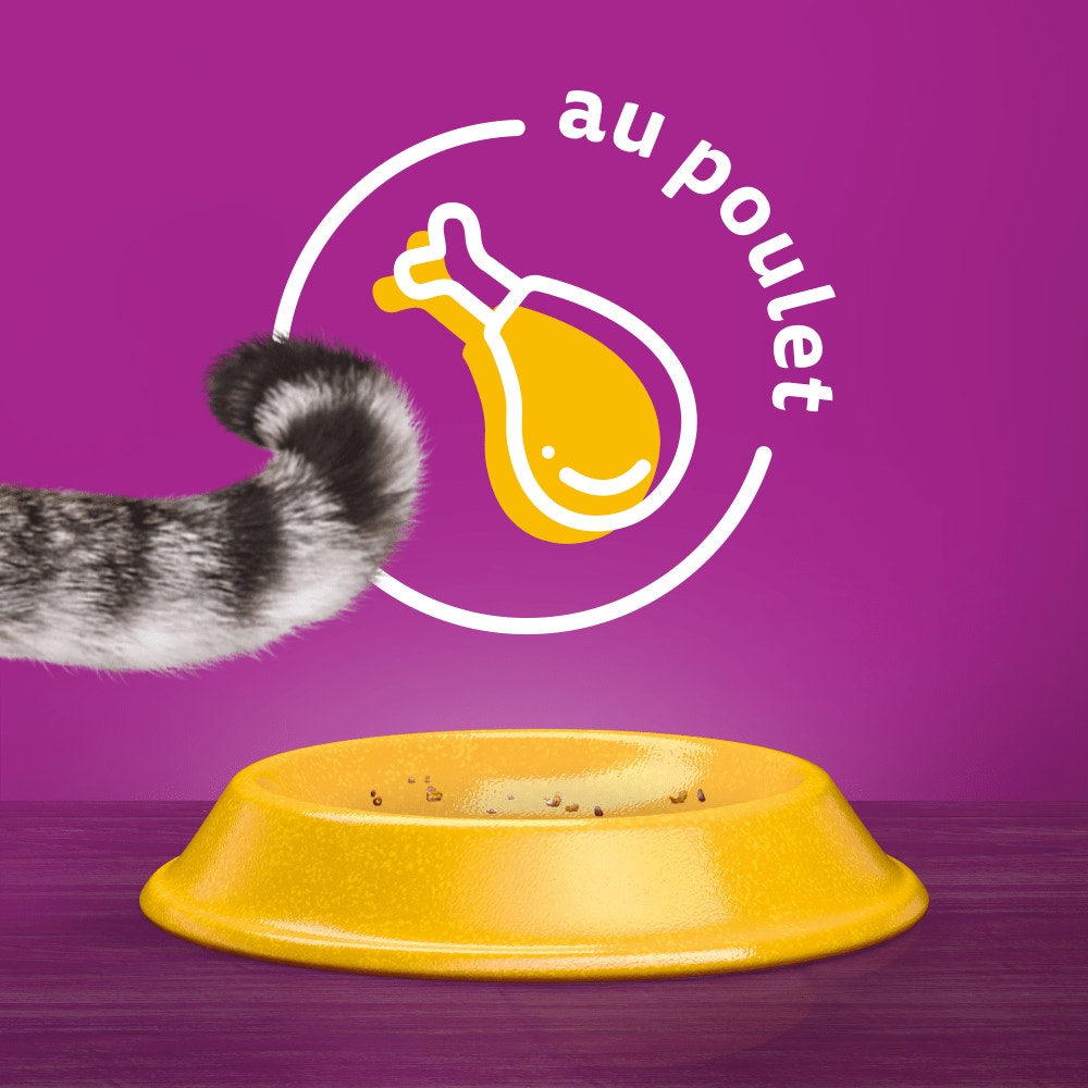 WHISKAS® Croquettes Au Poulet Pour Chat Adulte Stérilisé 1,75kg & 14kg - 7