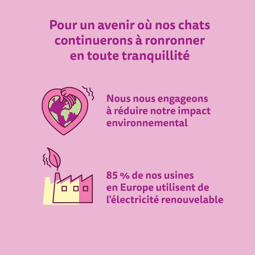 WHISKAS® Croquettes Au Poulet Pour Chat Adulte Stérilisé 1,75kg & 14kg - 5