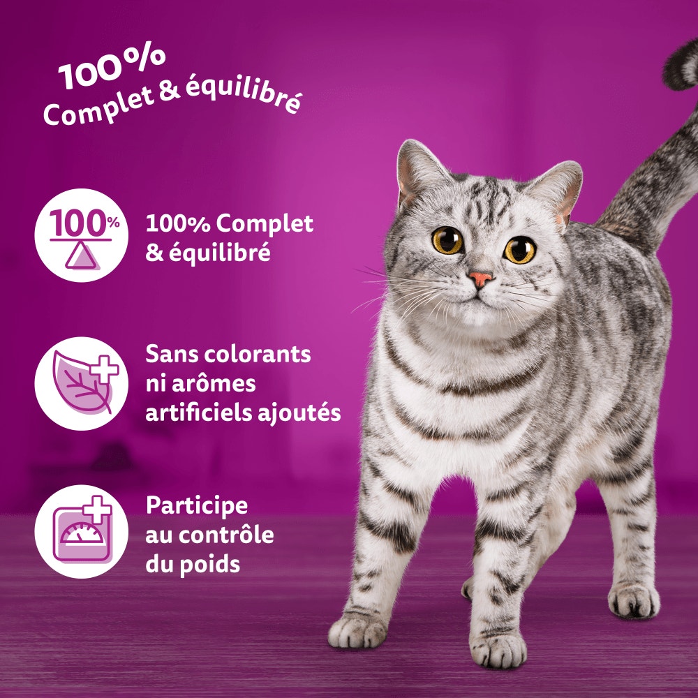 WHISKAS® Croquettes Au Poulet Pour Chat Adulte Stérilisé 1,75kg & 14kg - 4
