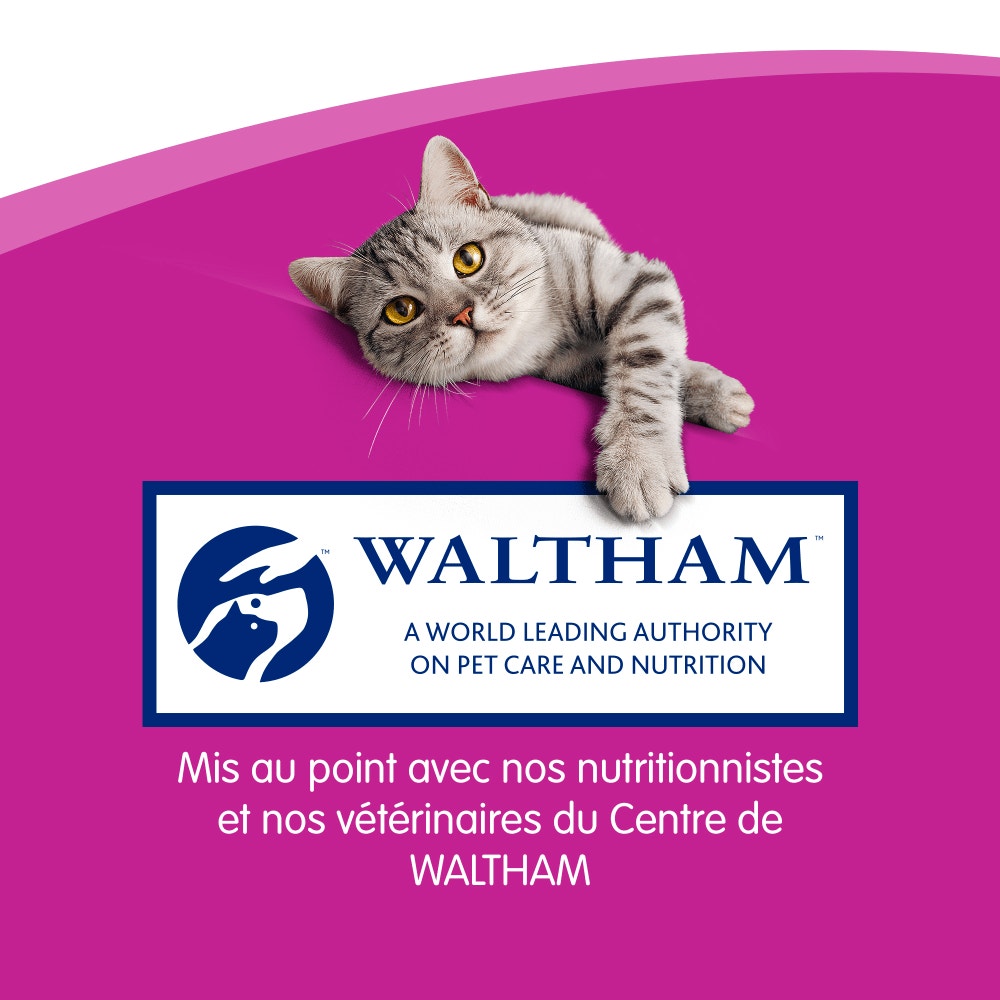 WHISKAS® Sticks Au Poulet Friandises Pour Chat Adulte 3 x 6g - 6