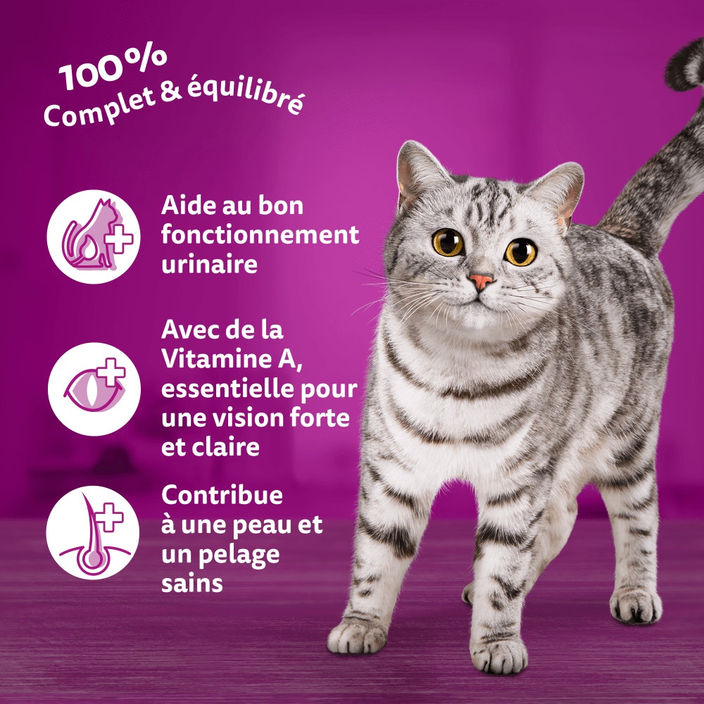 WHISKAS® Croquettes Au Poulet Pour Chat Adulte 3,8kg & 7kg - 5