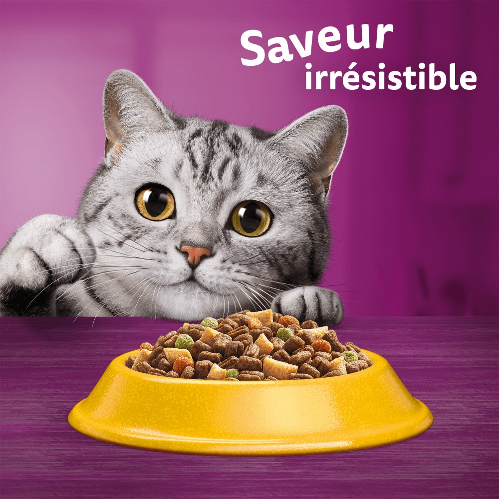 WHISKAS® Croquettes Au Poulet Pour Chat Adulte 3,8kg & 7kg - 6