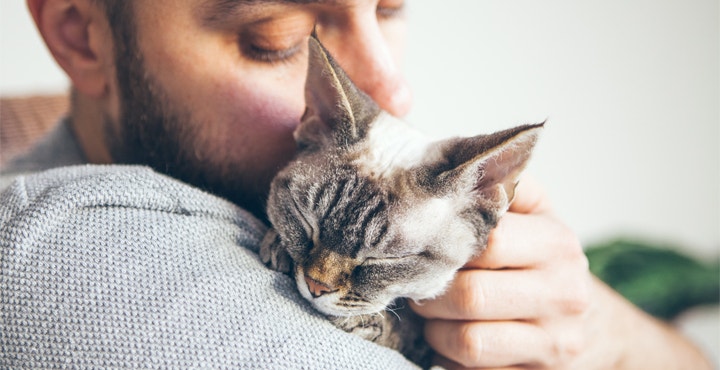 chat-affection-comment-developper-un-lien-avec-son-chat.jpg