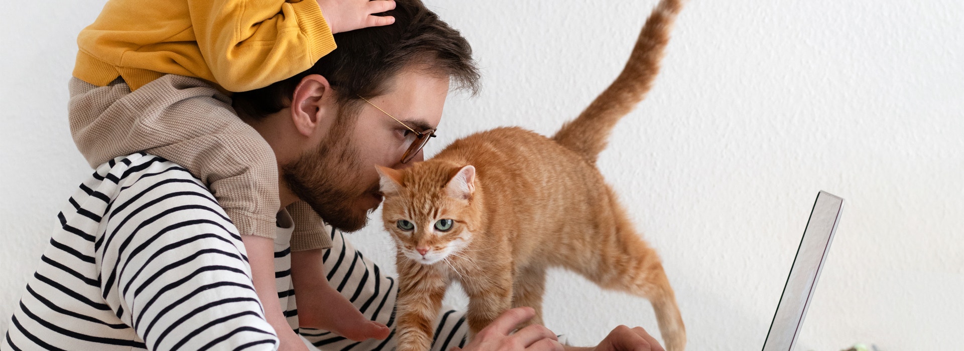 chat-et-enfant-comment-faire-cohabiter-chats-et-tout-petits.jpg