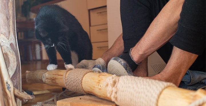 comment-construire-un-arbre-a-chat.jpg