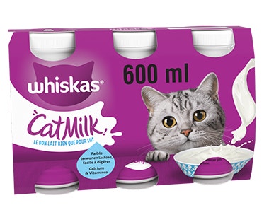 Lait Pour Chat
