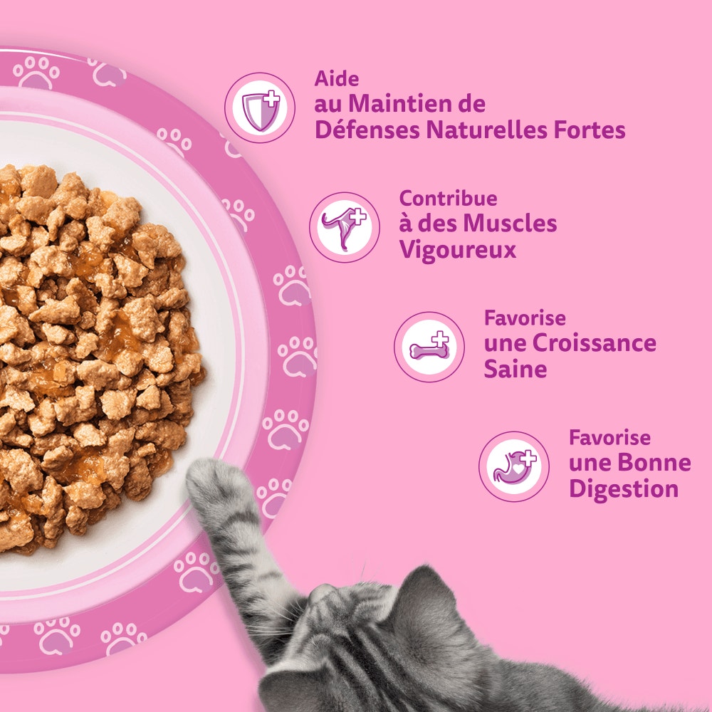 WHISKAS® Sachets Fraîcheur Les Festins À La Volaille En Gelée Pour Chaton 4 Variétés 12 x 85g - 5
