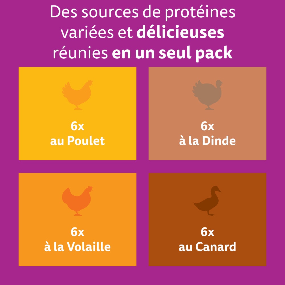 WHISKAS® Sachets Fraîcheur Les Festins À La Volaille En Sauce Pour Chat Adulte 4 Variétés 24 x 85g - 2