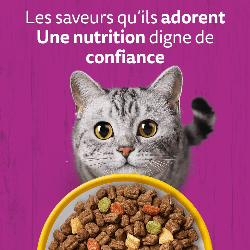 WHISKAS® Junior Croquettes Au Poulet Pour Chaton 1,4kg - 2