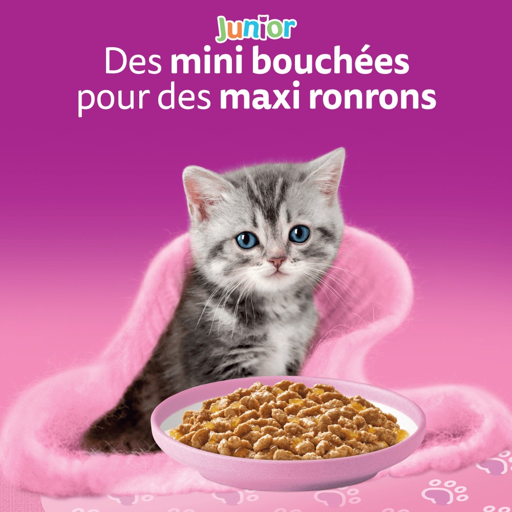 WHISKAS® Sachets Fraîcheur Les Festins À La Volaille En Gelée Pour Chaton 4 Variétés 12 x 85g - 2