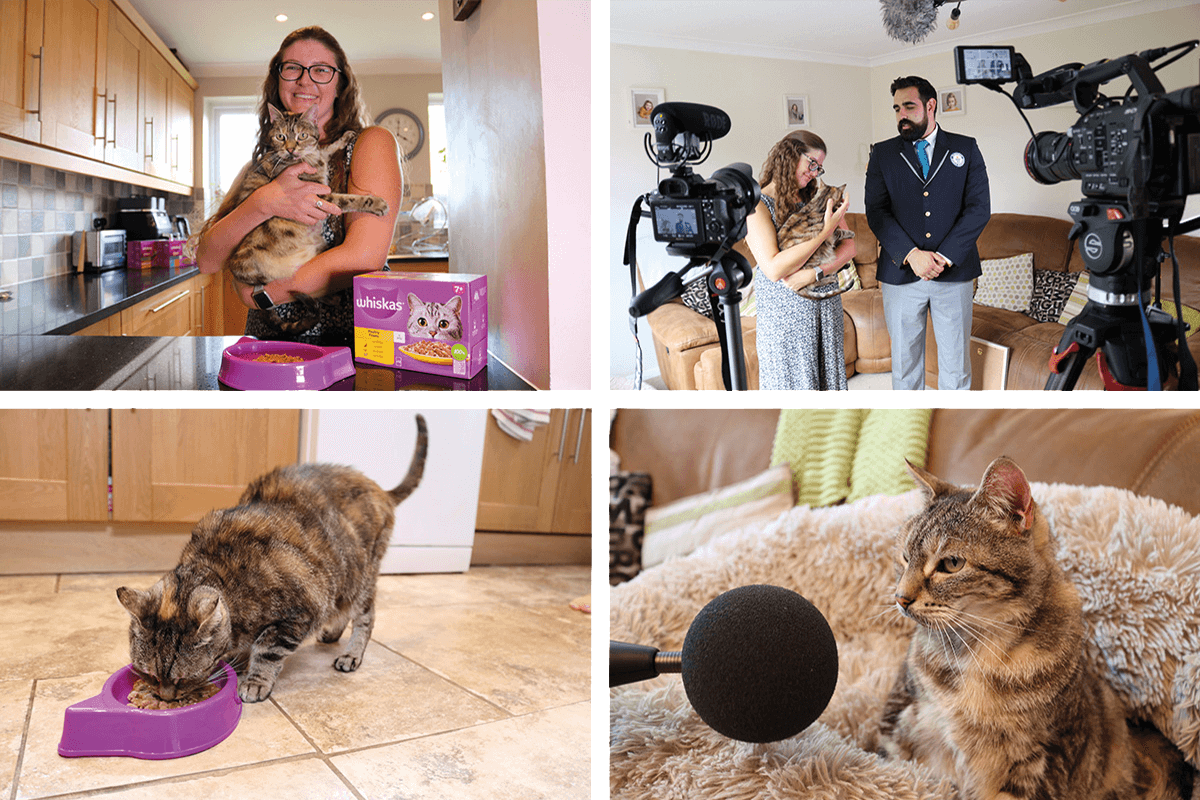 Offrez-lui une gamelle de WHISKAS® pour un beau ronronnement de joie.